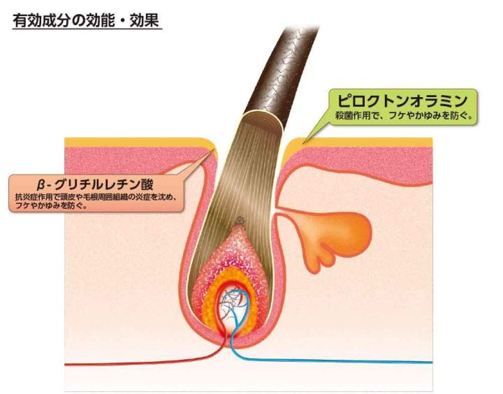 Cân bằng độ ẩm cho da đầu, giúp tế bào chân tóc phục hồi
