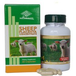 Nhau Thai Cừu Sheep Placenta Concentrate